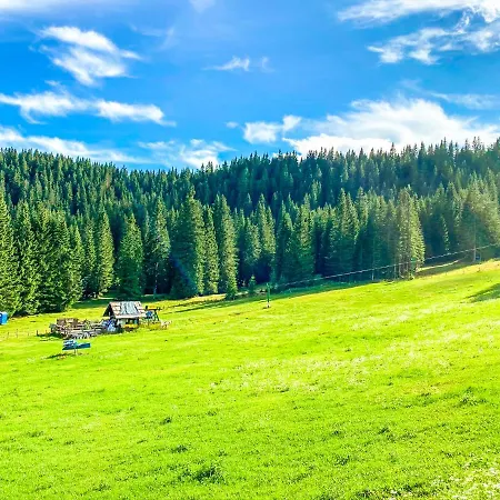 Chalet Ivi Zgornje Gorje