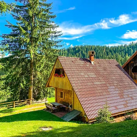 Chalet Ivi Holiday home
