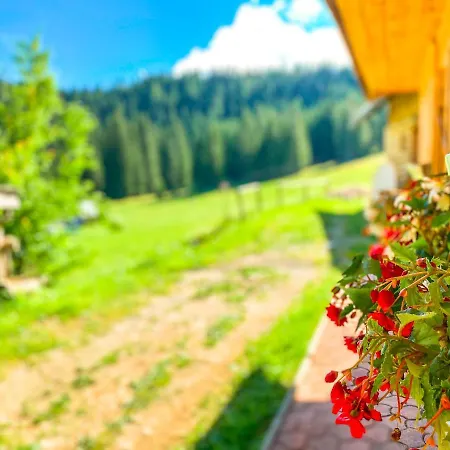 Chalet Ivi Holiday home